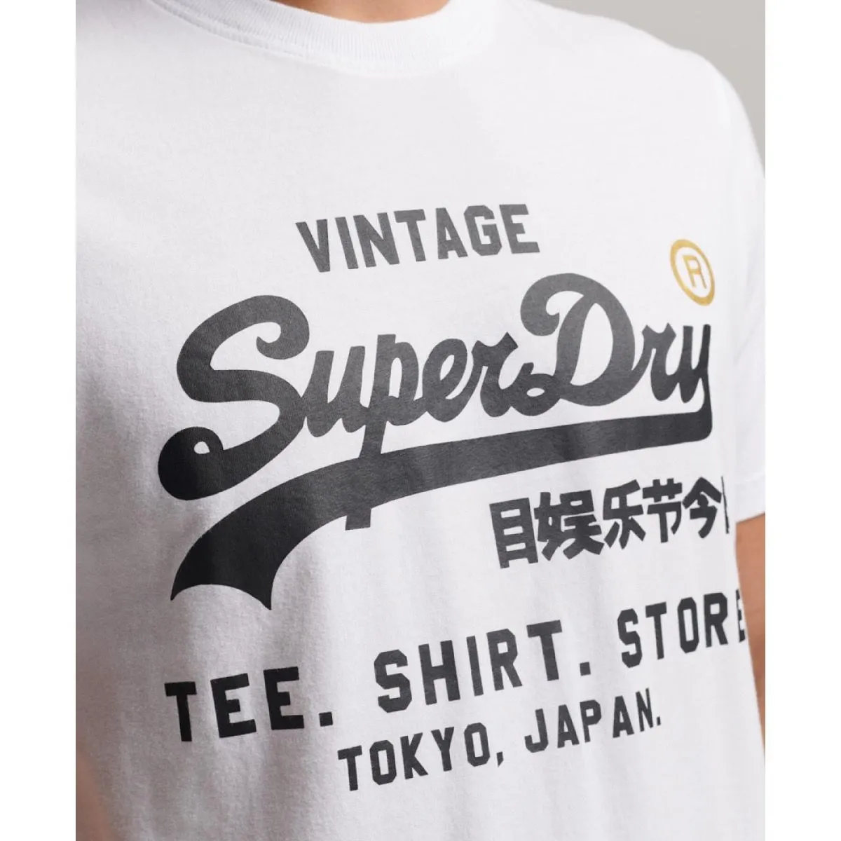 Superdry Vintage Narrative Crew Neck T-Shirt Optic